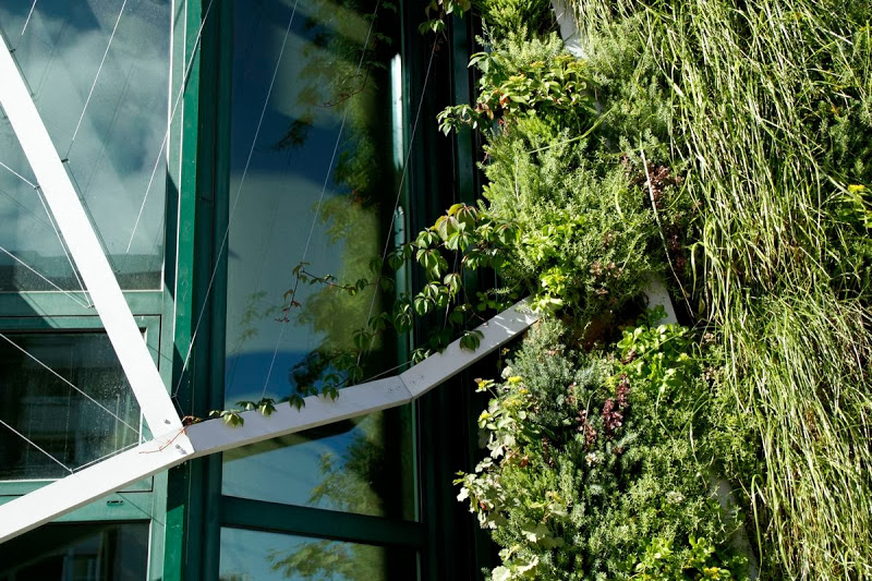 Illustration for article titled 33.000 plantas envuelven este edificio para ahorrar energía